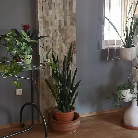 Hotello és Panzió *