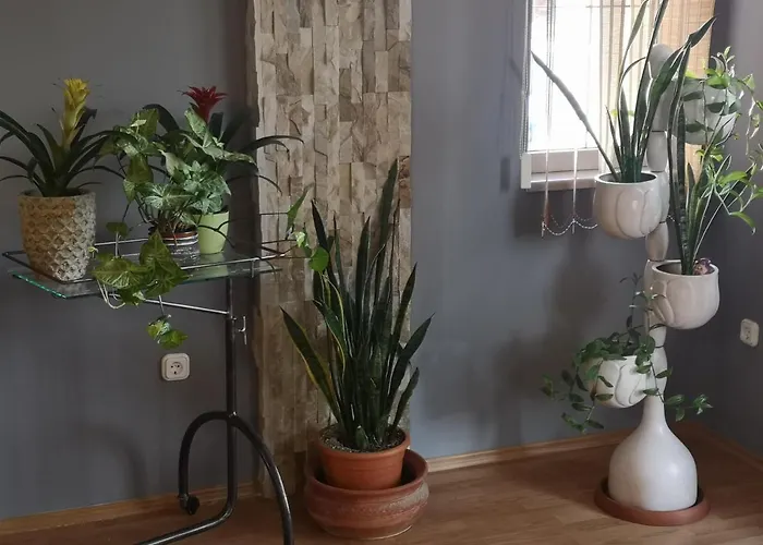 Hotello Apartmanhaz Es Panzio *